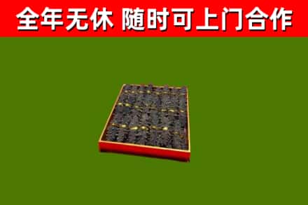 遂川回收海参